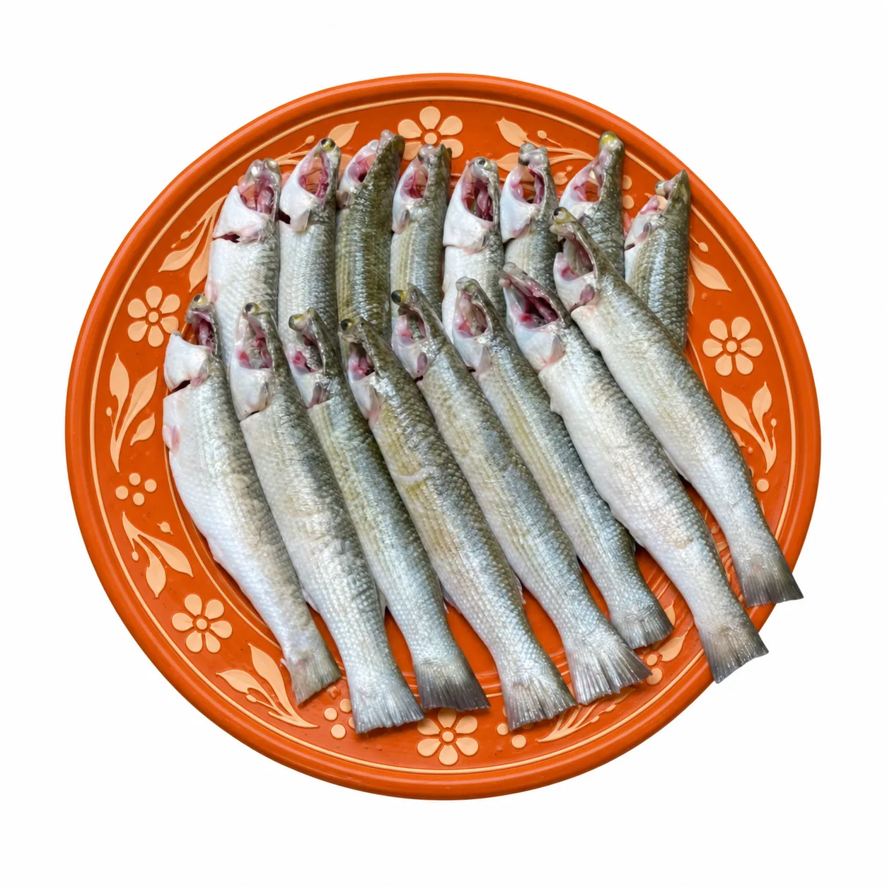বাটা মাছ